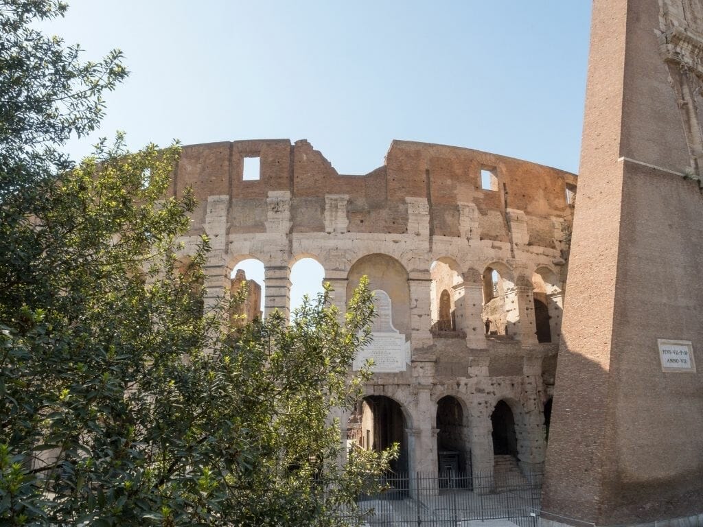 Le Colisée de Rome au printemps