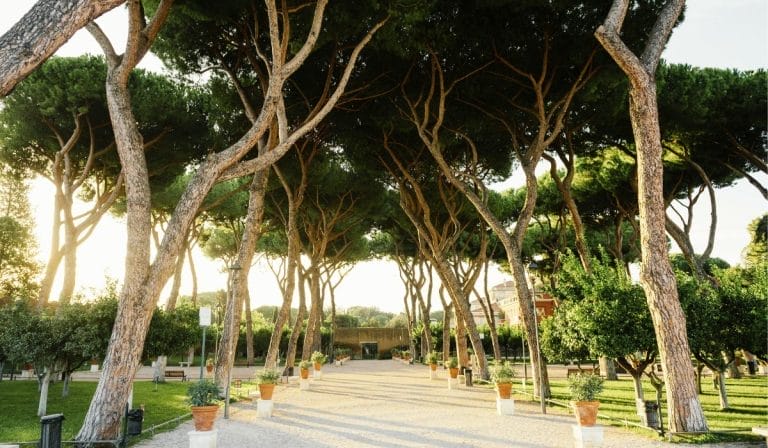 Visiter Le Jardin des Orangers à Rome : horaires, accès et infos pratiques pour le Parco Savello jardin des orangers à Rome: Giardino degli Aranci ou Parco Savello