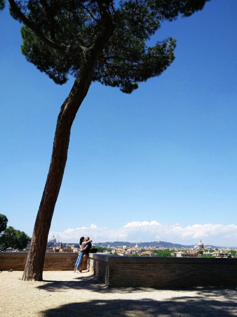 Le jardin des orangers