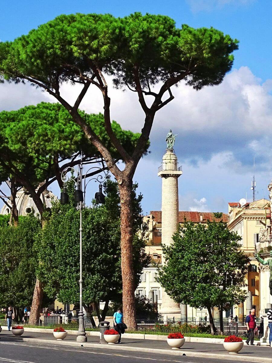 Architecture et dimensions de la Colonne Trajane